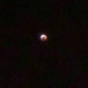 Meet your Posher, Joanne